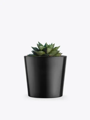 product image 3 optimized product image 3 optimized