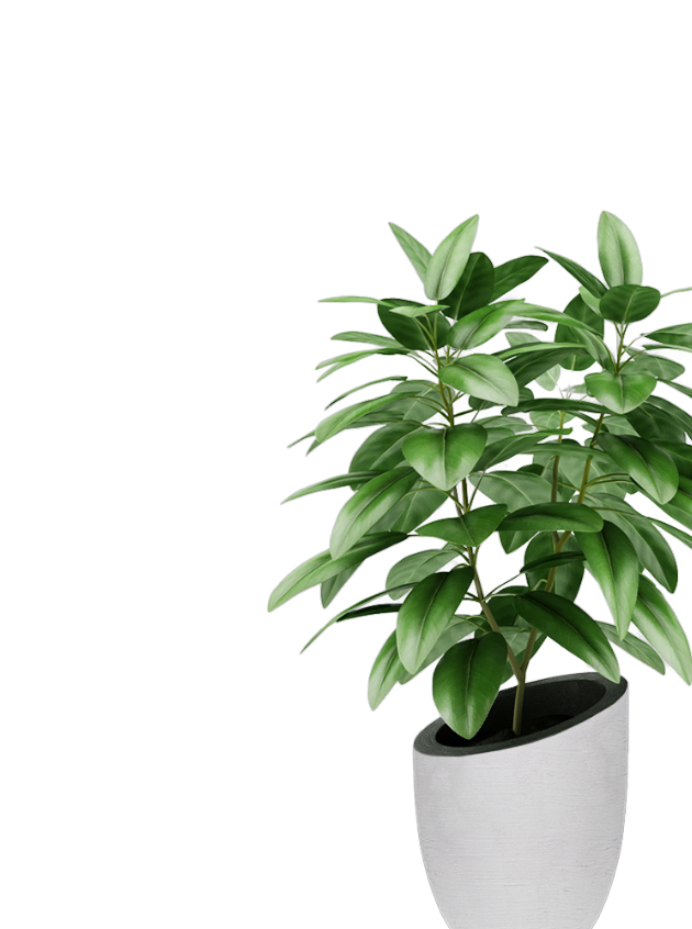 Shop Category Image 3 Optimized