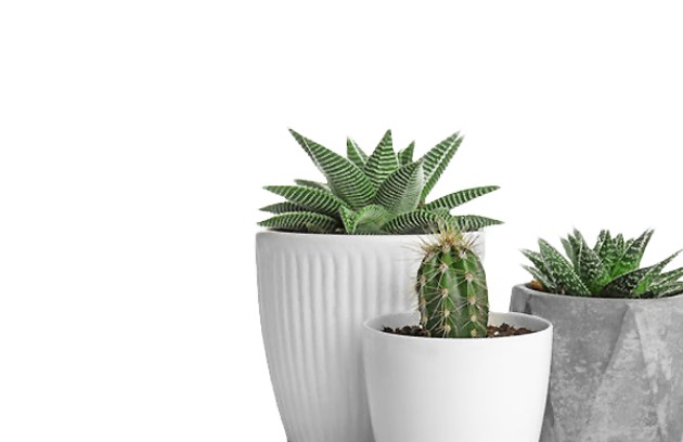 Shop Category Image 4 Optimized