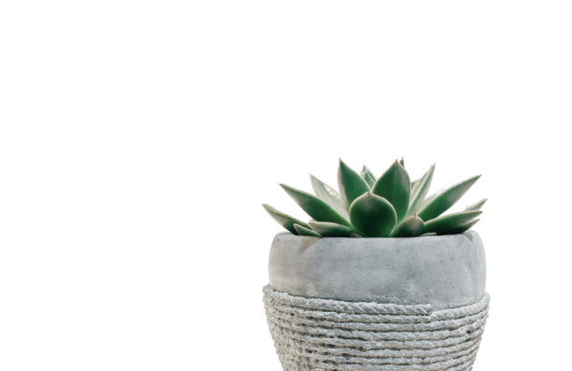 Shop Category Image 5 Optimized