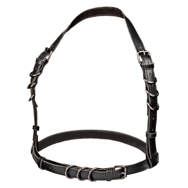 euphoria collection halter buckle harness black