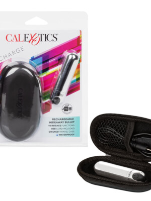 rechargeable hideaway bullet silver