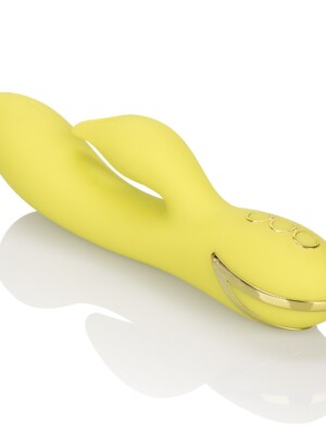 california dreaming venice vixen