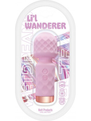 wet dreams lil wanderer