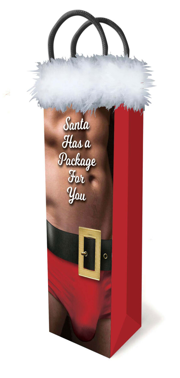 santa has a big package for you santa has a big package for you