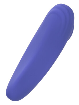 calexotics connect panty teaser periwinkle