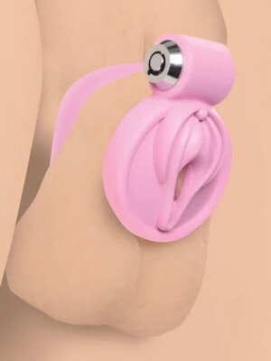 pussification vulva chastity cage pink pussification vulva chastity cage pink