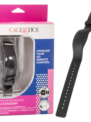 wristband remote accessory