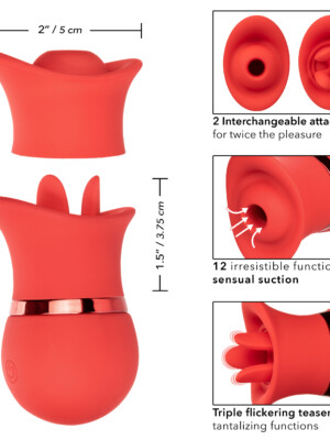 french kiss suck and play interchangeable set