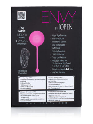 envy sixteen pink