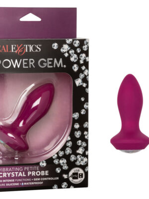 power gem vibrating petite crystal probe purple