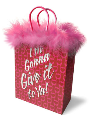 i'm gonna give it to ya! gift bag i'm gonna give it to ya! gift bag