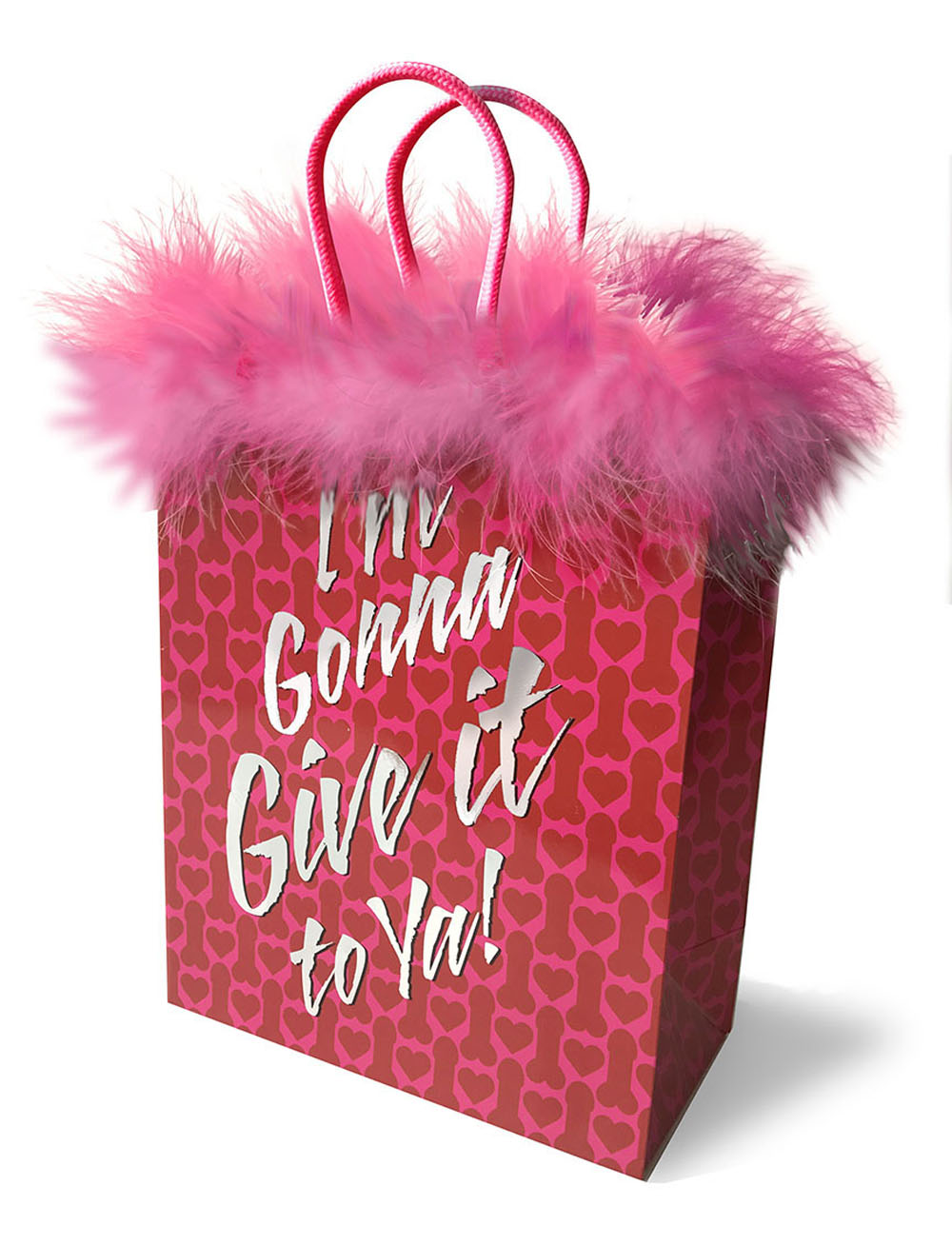 i'm gonna give it to ya! gift bag i'm gonna give it to ya! gift bag