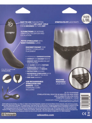 remote control lace panty set l/xl