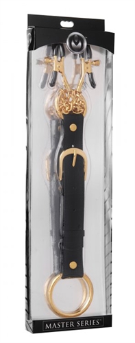 penitentiary nipple clamps and cockring set