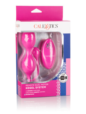 remote dual motor kegel system remote dual motor kegel system