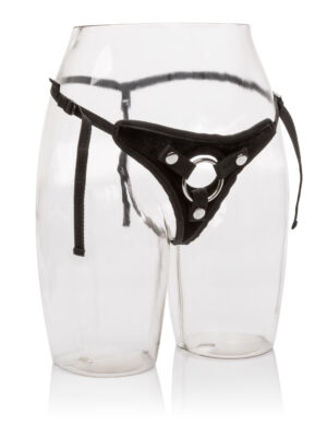 her royal harness the princess