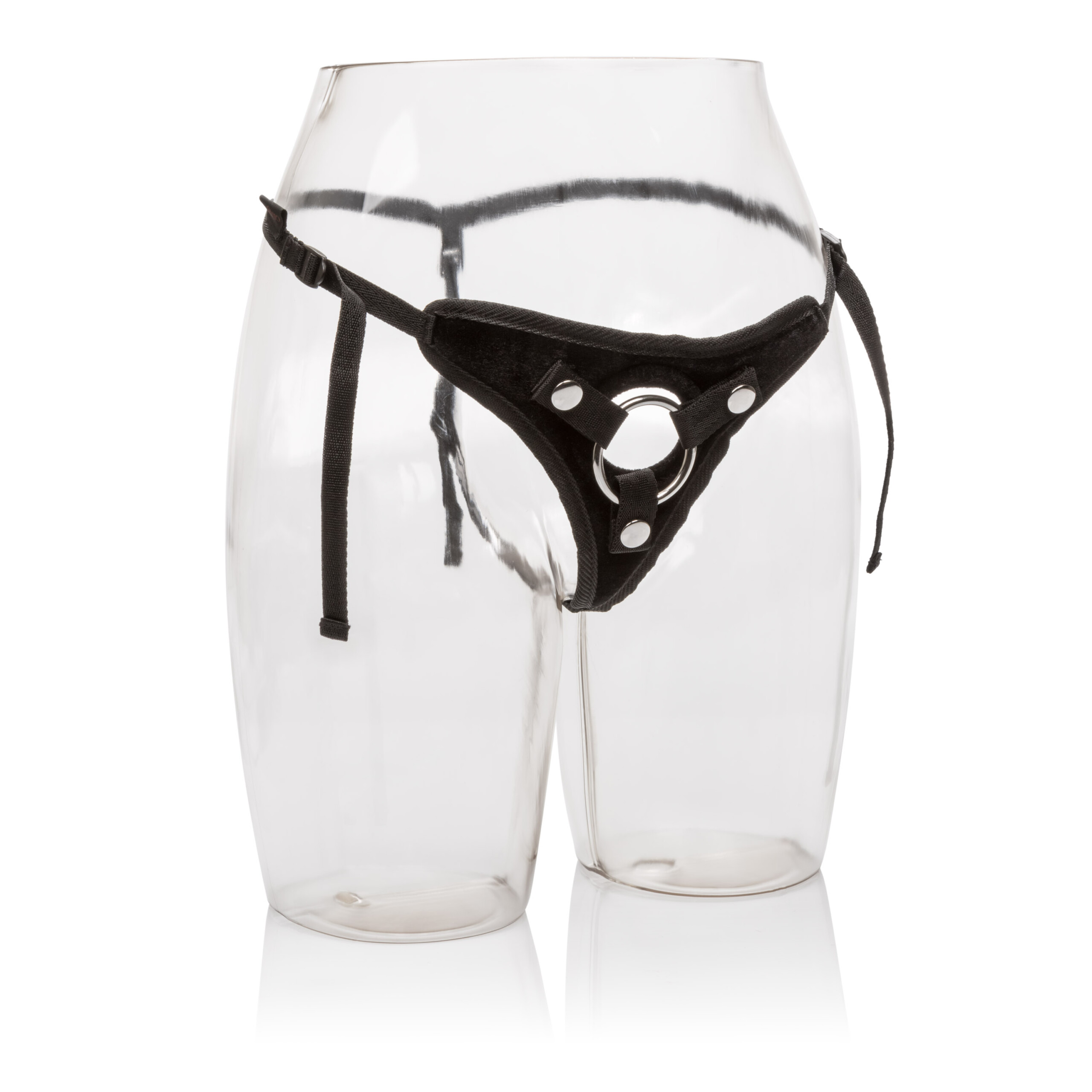 her royal harness the princess