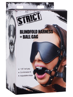 blindfold harness and ball gag