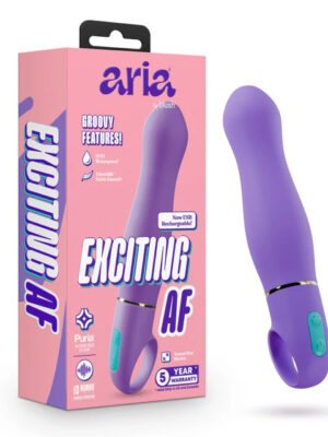 aria exciting af 2.0 rechargeable vibe indigo