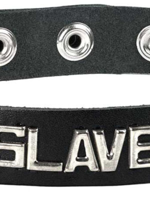 sm collar slave