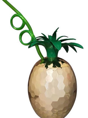 disco pineapple cup disco pineapple cup