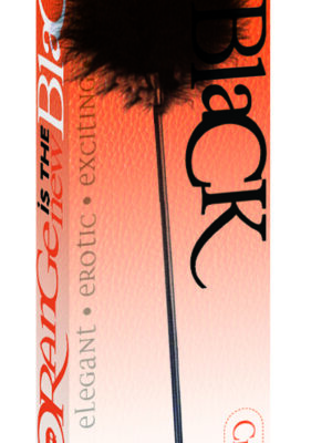 orange is the new black riding crop and tickler