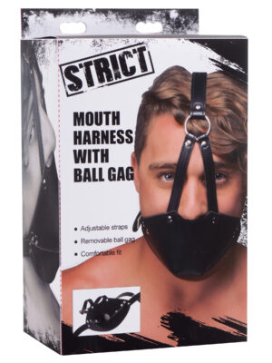 muzzle harness with ball gag