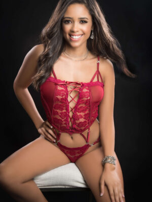 1pc butterfly teddy with daring lace up front thong and see through detail one size red berry