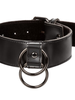 euphoria collection collar with chain leash black