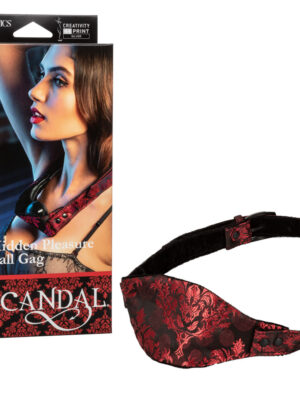 scandal hidden pleasure ball gag