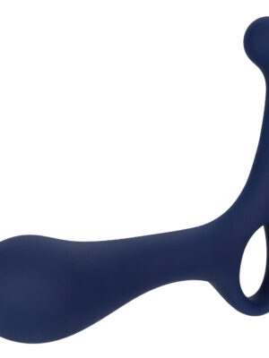 viceroy direct probe viceroy direct probe