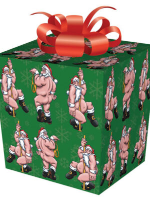 gift wrap santa