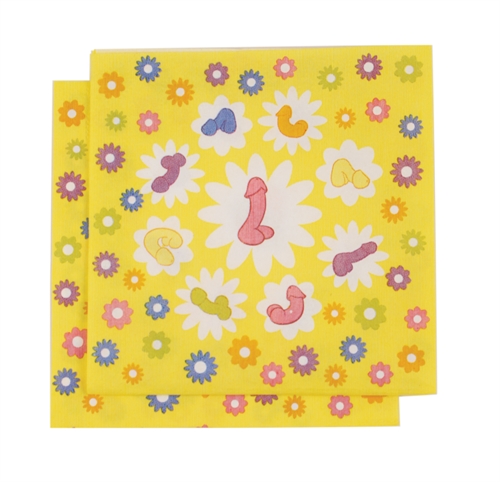 super fun penis party napkins 8 count