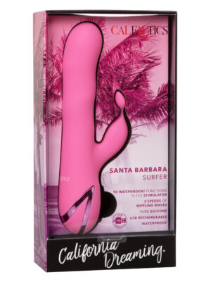 california dreaming santa barbara surfer