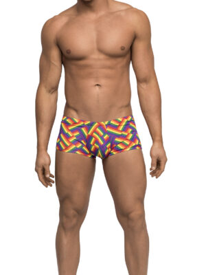 pride fest mini short large print