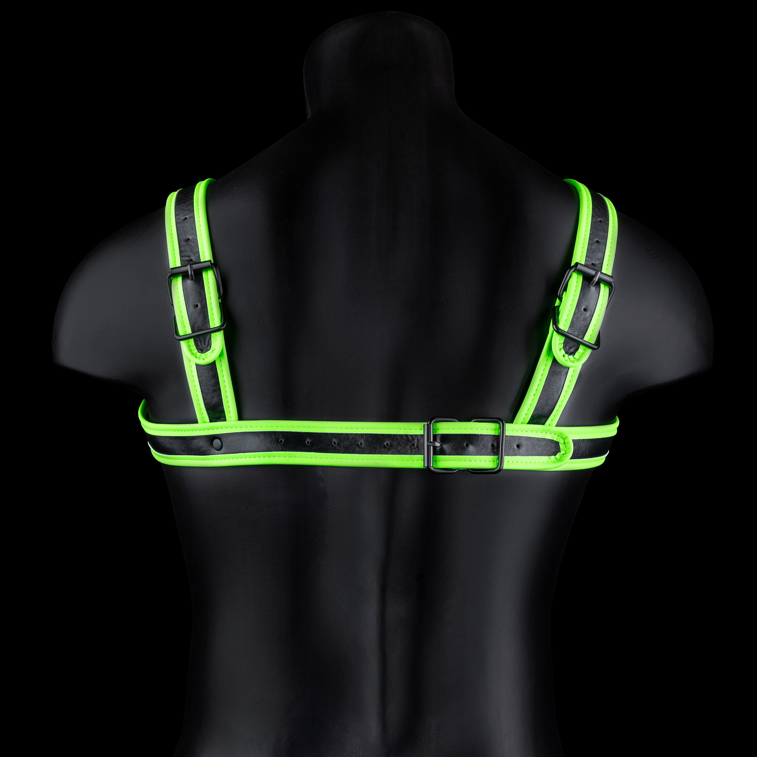 bonded leather buckle harness small/medium glow in the dark