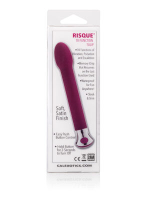 10 function risque tulip purple 10 function risque tulip purple
