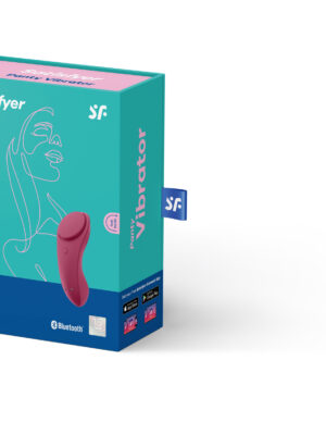 sexy secret panty vibrator