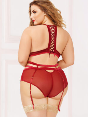 applique & mesh bra set 1x2x burgundy