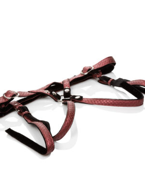 her royal harness the regal duchess red her royal harness the regal duchess red
