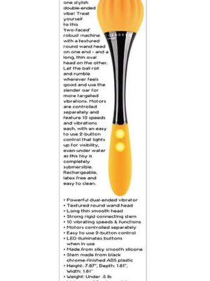 sunflower orange sunflower orange