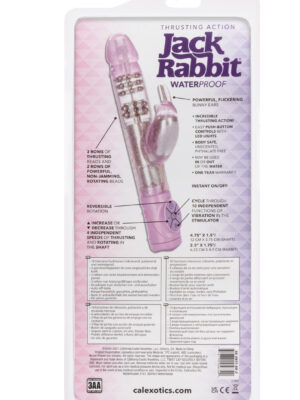 thrusting jack rabbit