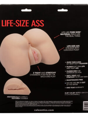 stroke it life size ass ivory