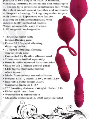 wild rose red