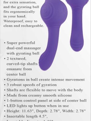 our gyro vibe purple