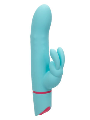 love bunny rotating bunny blue