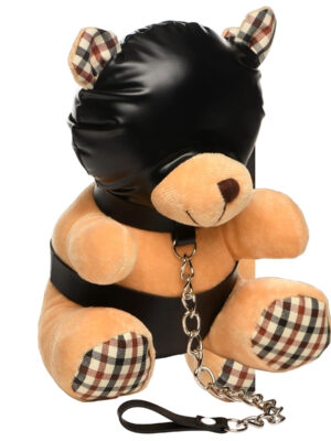 hooded teddy bear plush