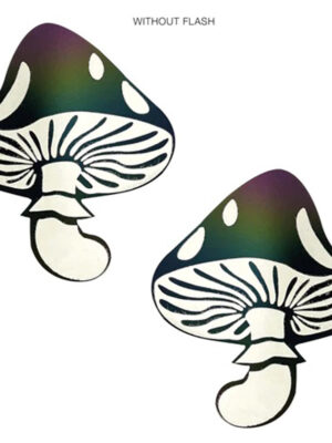 rainbow reflective toadstool nipple cover pasties